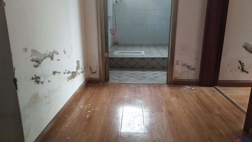 衛生間門材質與設計選擇指南